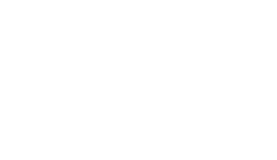 The Pitch